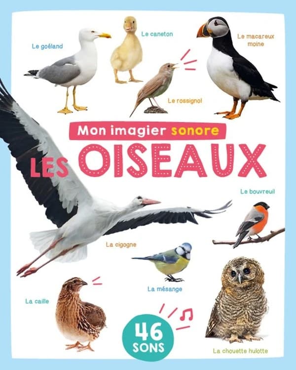 Les oiseaux