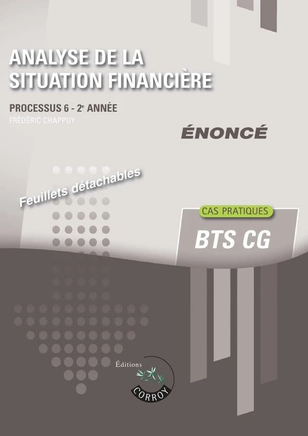 Processus 6 : Analyse de la situation financière ; BTS CG, 2e année ; Énoncé (édition 2024)