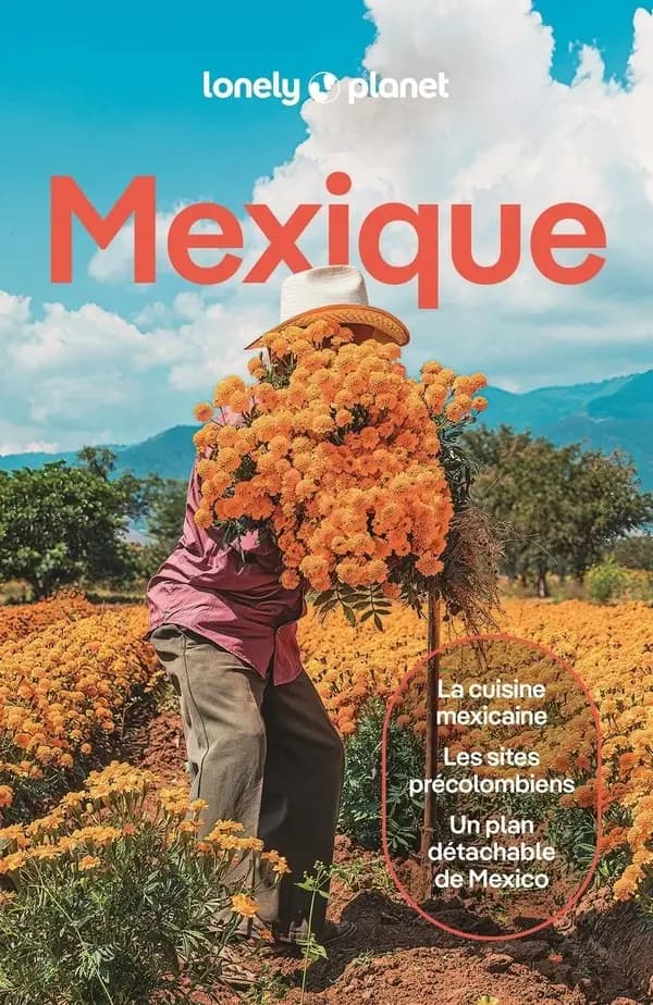 Mexique (15e éd.) Joel Balsam, Jennifer Fernández Solano, John Hecht... [et al.]