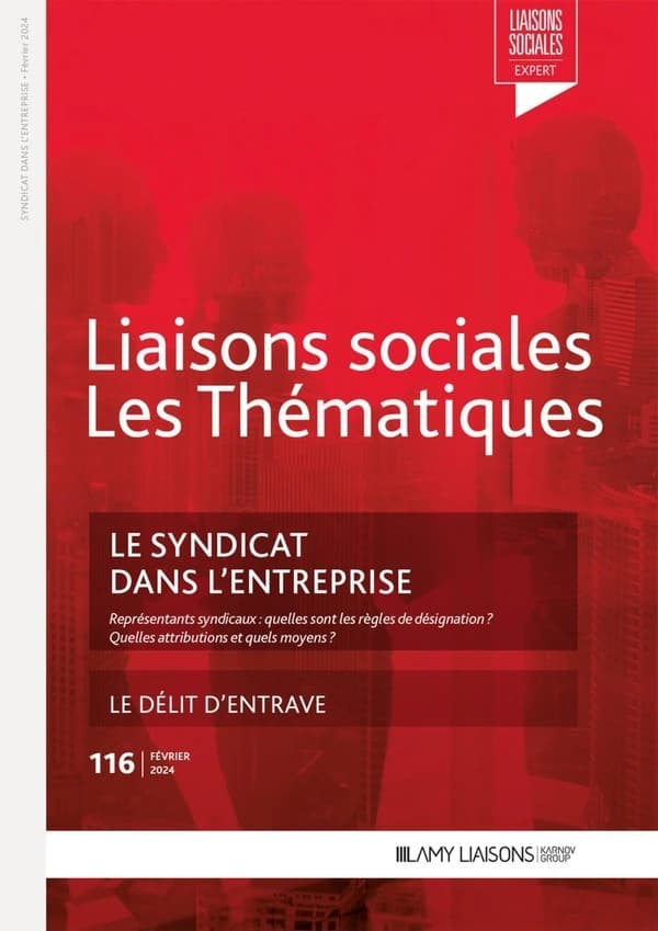 Liaisons sociales ; Les thématiques Tome 116 : Le syndicat dans l'entreprise ; Le délit d'entrave