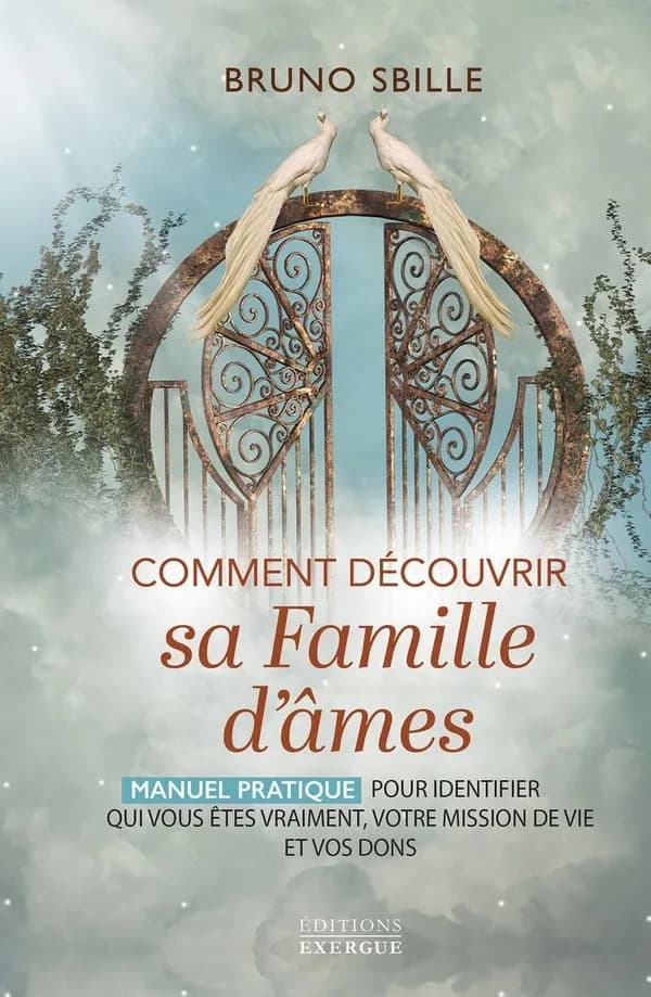 Comment découvrir sa famille d'âmes : Manuel pratique pour identifier qui vous êtes vraiment, votre mission de vie et vos dons