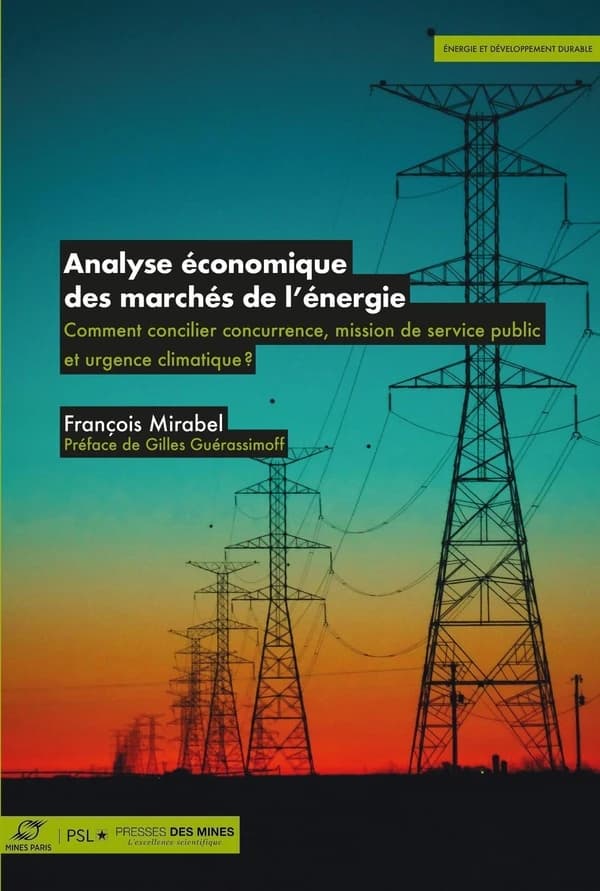 Analyse économique des marchés de l'énergie : comment concilier concurrence, missions de service public et urgence climatique ?