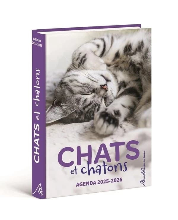 Agenda 2025-2026 chats et chatons