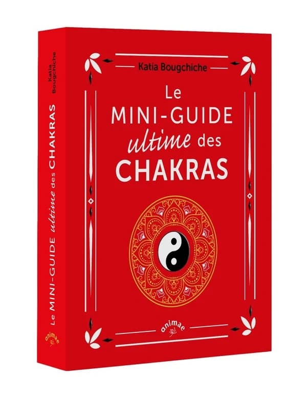 Le mini-guide ultime des chakras