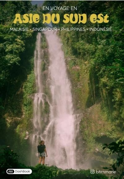 En voyage en Asie du Sud-Est. Tome 2, Malaisie, Singapour, Philippines, Indonésie