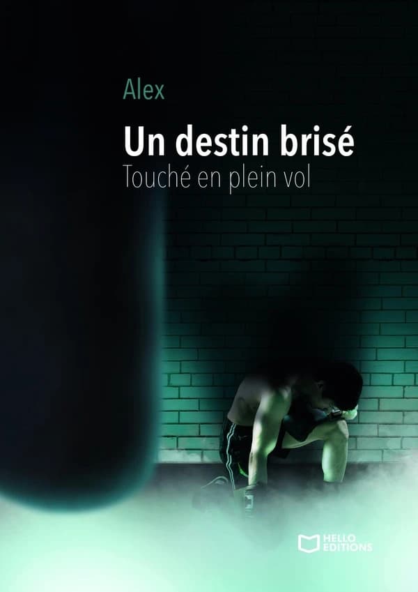Un destin brisé : touché en plein vol