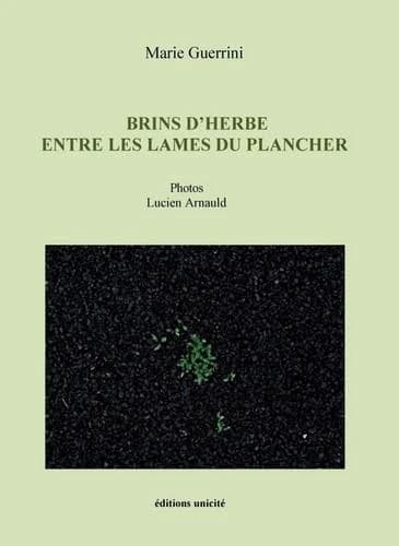 Brins d'herbe entre les lames du plancher