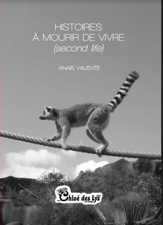 Histoires à mourir de vivre : (second life)