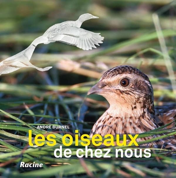 Les oiseaux de chez nous (2e édition)