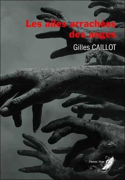 Tétralogie Massimo Zanetti Tome 4 ; les ailes arrachées des anges