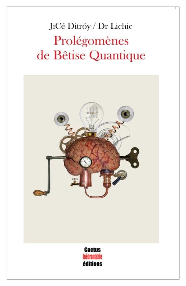 Prolégomènes de bêtise quantique
