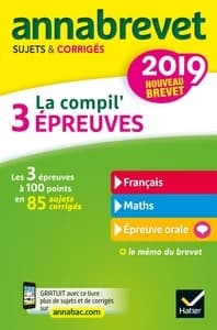 6 - ANNALES DU BREVET ANNABREVET 2019 LA COMPIL' 3 EPREUVES - SUJETS, CORRIGES & CONSEILS DE METHODE