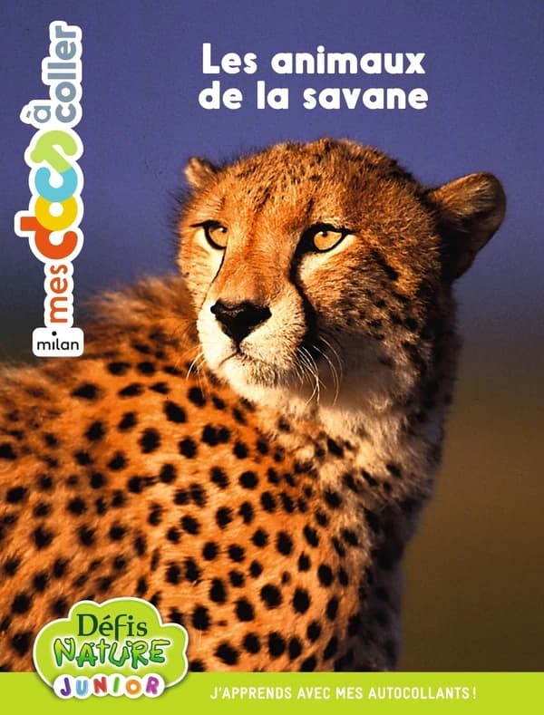 Bioviva : animaux de la savane : mes docs à coller : [Autocollant]