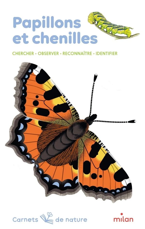Papillons et chenilles : chercher, observer, reconnaître, identifier ([Nouvelle éd.]) textes de Léon Rogez ; illustrations d'Anne Eydoux et de Lucie Brunellière, couverture
