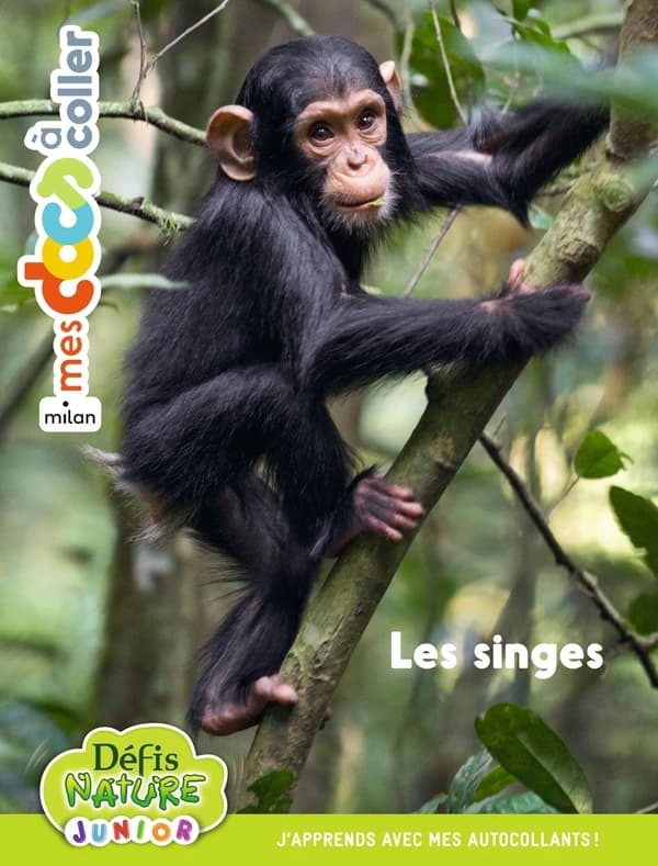 Les singes : mes docs à coller : [Autocollant]