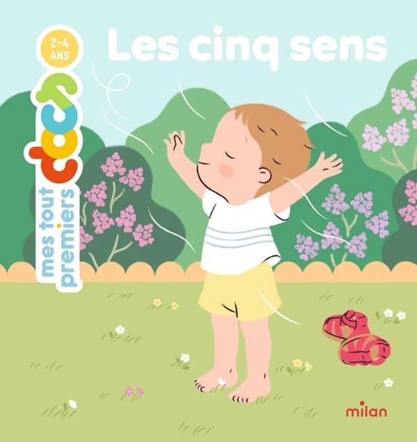 Les cinq sens