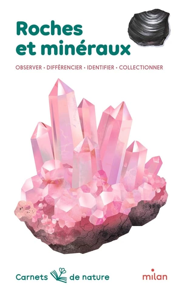 Roches et minéraux : Observer - Différentier - Identifier - Collectionner