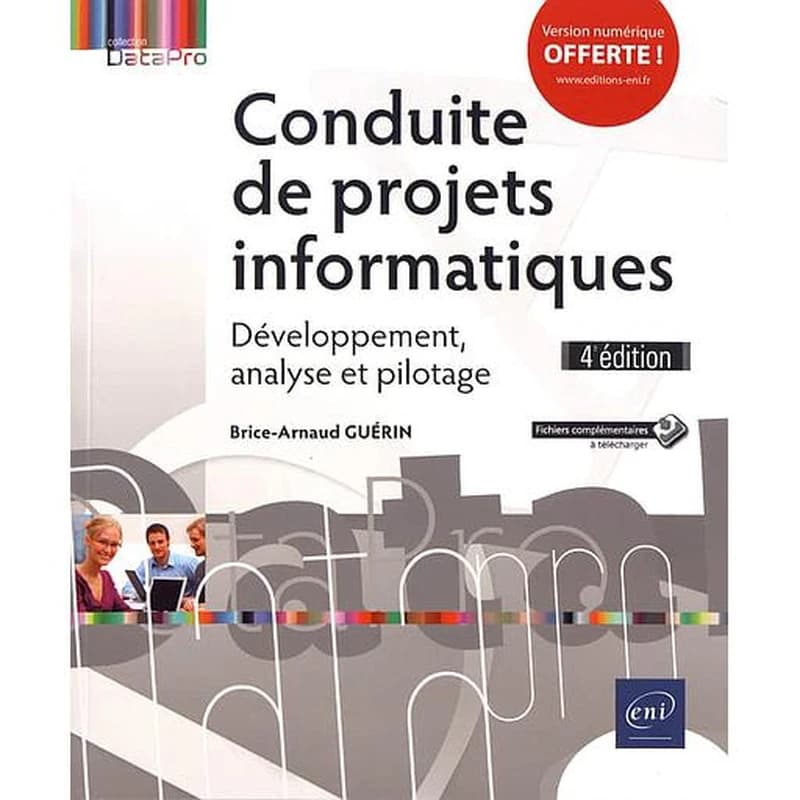 Conduite de projets informatiques  - Développement, analyse et pilotage