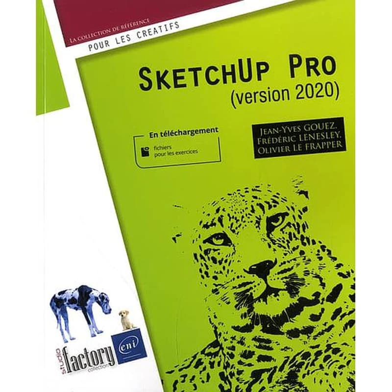 Sketchup pro : version 2020