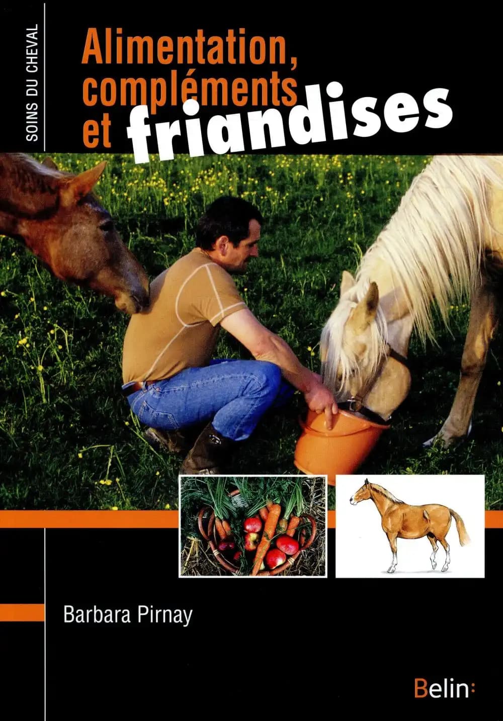 Alimentation, compléments et friandises : comment bien nourrir son cheval ?