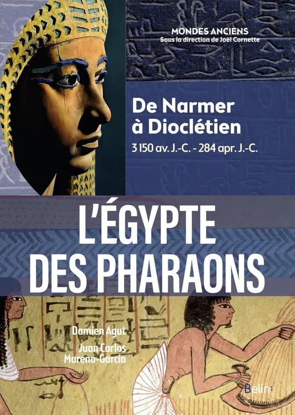 L'Égypte des pharaons : de Narmer à Dioclétien : 3150 av. J.-C.-284 apr. J.-C