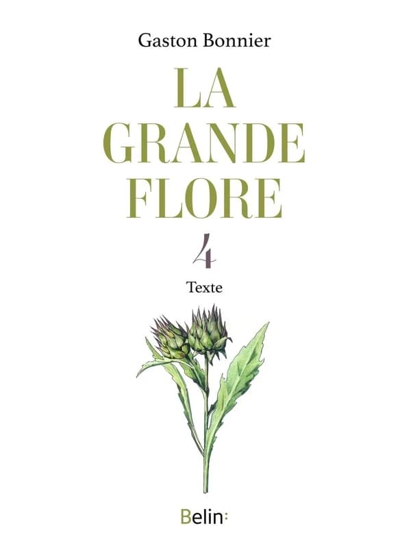 La grande flore. 4, Texte (Nouvelle éd.) Gaston Bonnier ; illustrations par Julie Poinsot