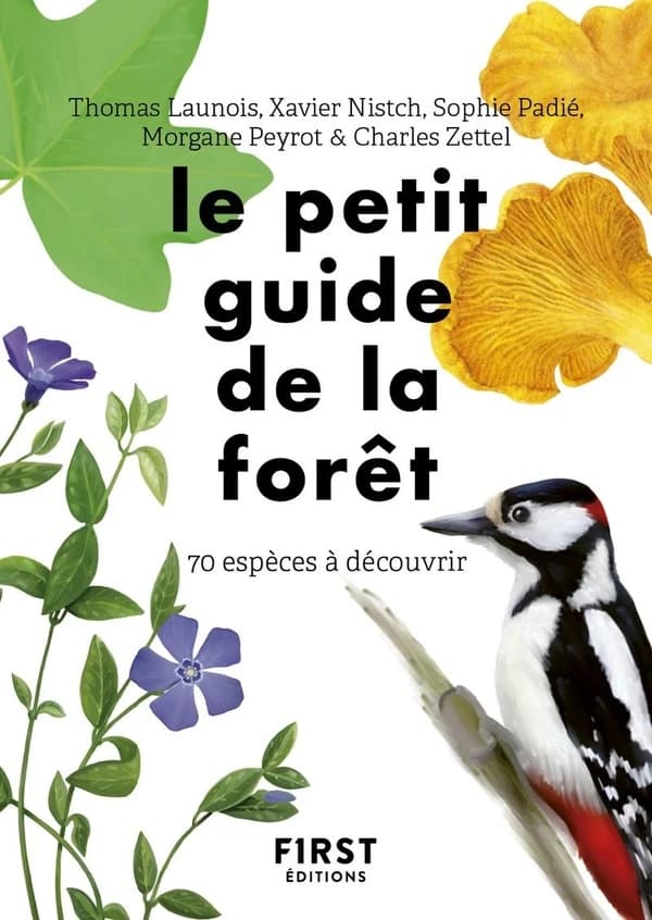 Le petit guide d'observation de la forêt : 70 espèces à découvrir