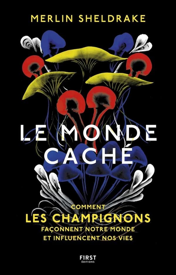Le monde caché : comment les champignons façonnent notre monde et influencent nos vies