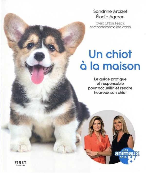 Un chiot à la maison : le guide pratique et responsable pour accueillir et rendre heureux son chiot