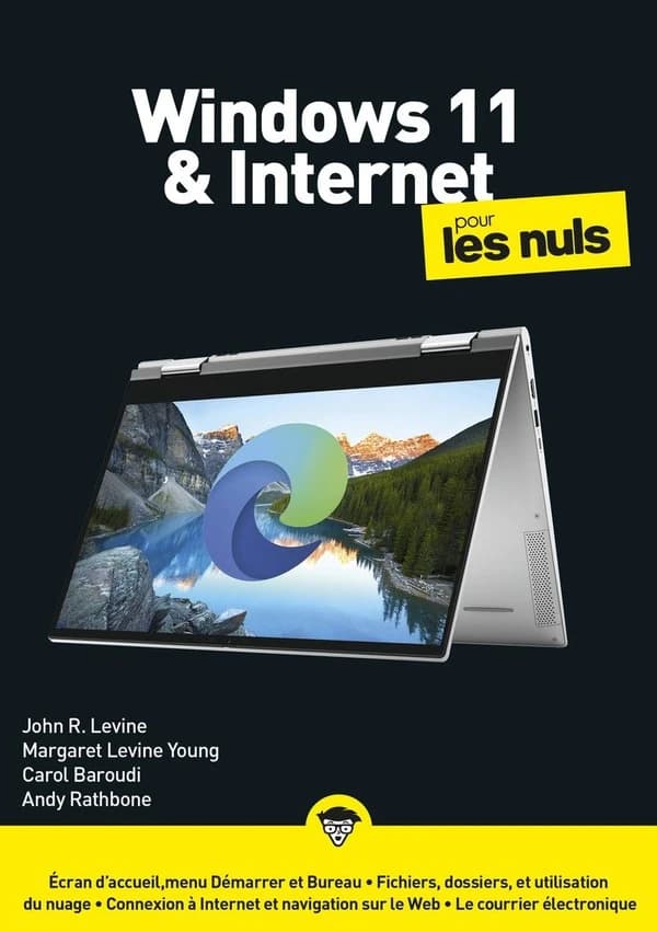 Windows 11 & internet pour les nuls