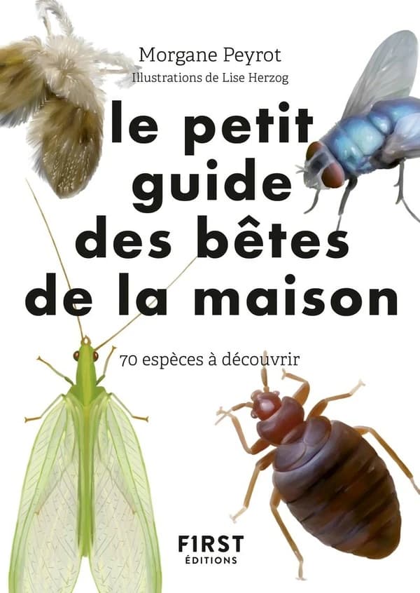 Le petit guide des bêtes de la maison