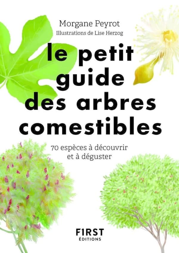 Le petit guide des arbres comestibles : 70 espèces à découvrir et déguster