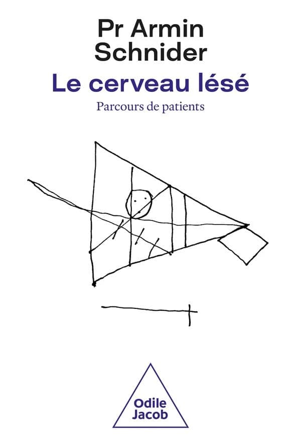 Le cerveau lésé : le parcours du patient