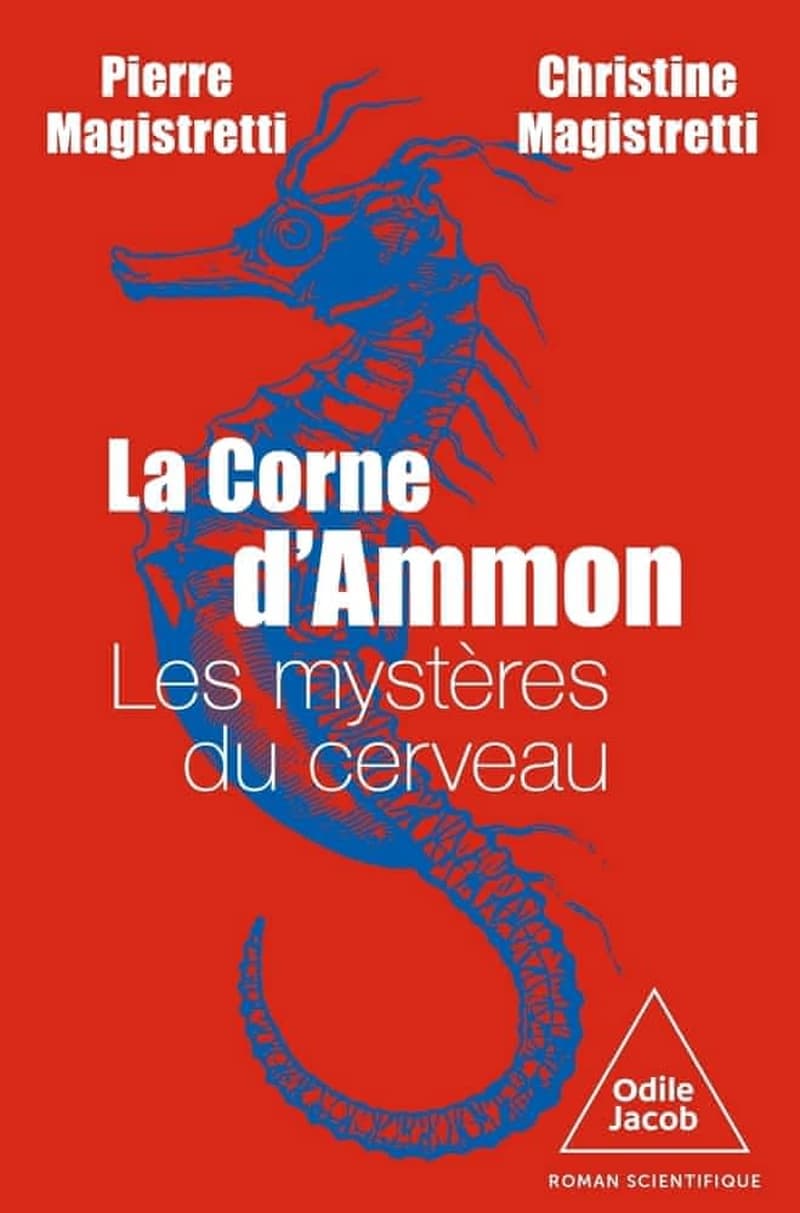 La corne d'Ammon : les mystères du cerveau