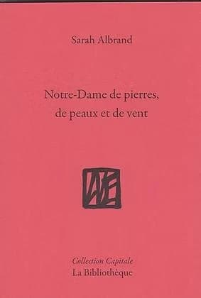 Notre Dame de pierres, de peaux et de vent