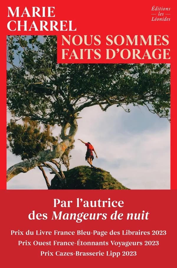 Nous sommes faits d'orage : roman