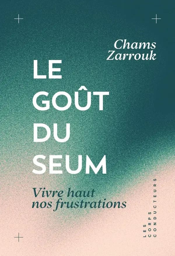 Le goût du seum : vivre haut nos frustrations