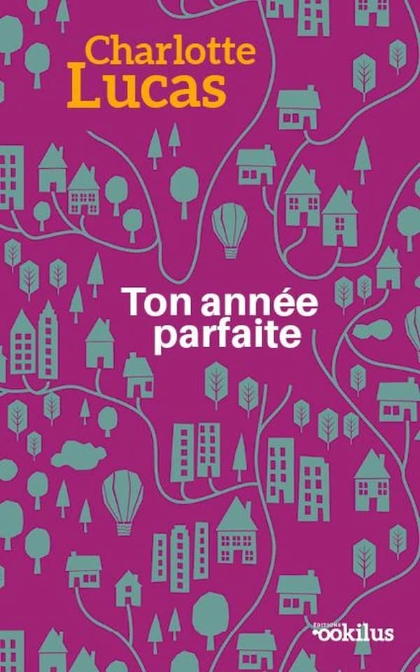 Ton année parfaite : roman ([Éd. en gros caractères]) Charlotte Lucas ; traduit de l'allemand par Corinna Gepner