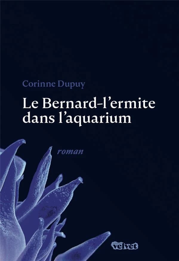 Le Bernard-l'ermite dans l'aquarium