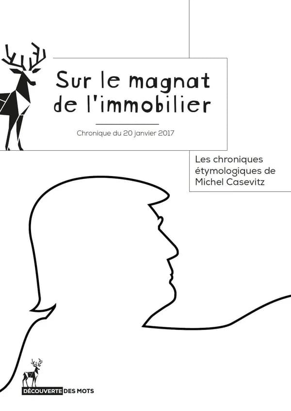 Sur le magnat de l'immobilier : chronique du 20 janvier 2017