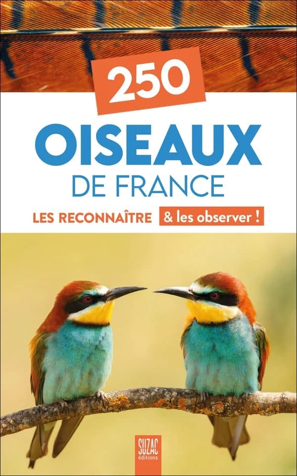 250 oiseaux de France : Les reconnaître & les observer !