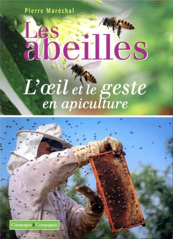 Les abeilles : l'oeil et le geste en apiculture
