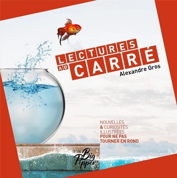 Lectures au carré ; nouvelles et curiosités illustrées pour ne pas tourner en rond