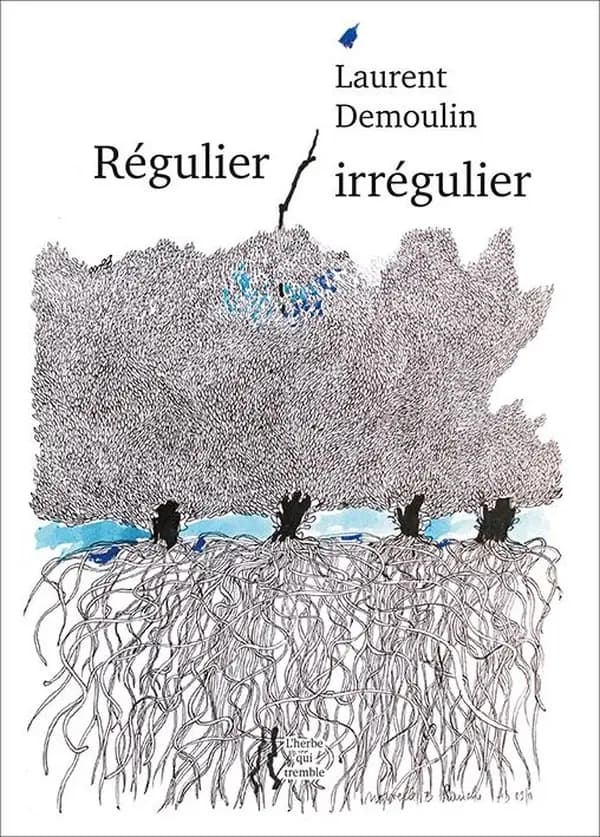 Régulier-irrégulier : sonnets