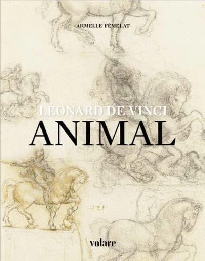 Animal : Léonard de Vinci