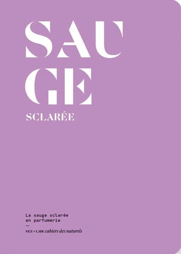 Sauge sclarée : la sauge sclarée en parfumerie