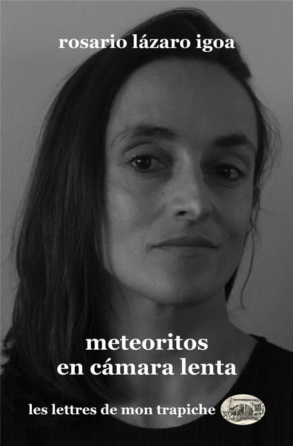 Meteoritos en cámara lenta : crónicas
