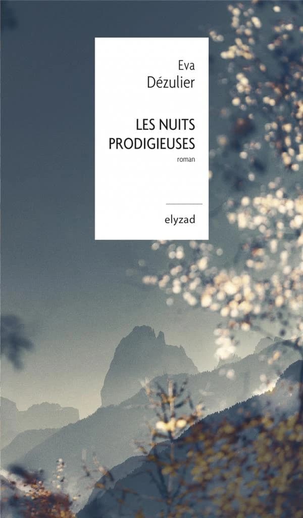 Les nuits prodigieuses : roman