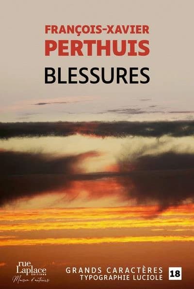Blessures ([Éd. en] grands caractères) François-Xavier Perthuis ; préface du professeur Bernard Golse