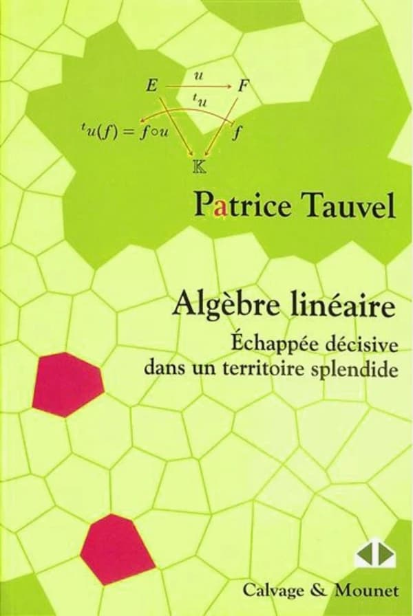 Algèbre linéaire : échappée décisive dans un territoire splendide
